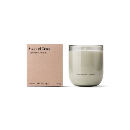 Studio Milligram Study of Trees 220g candle with matching branded presentation box