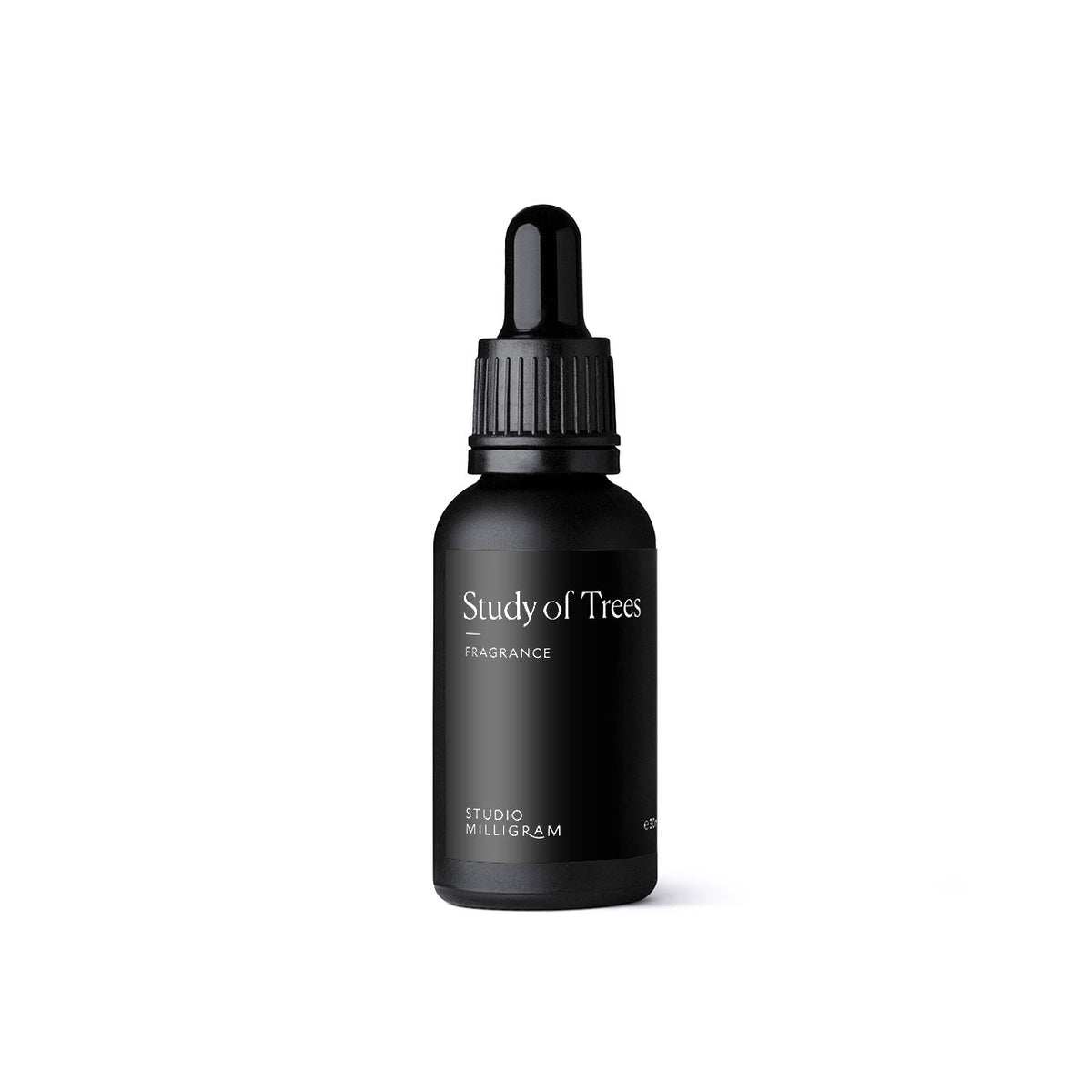 Studio Milligram study rocks oil — genuine brand photograph