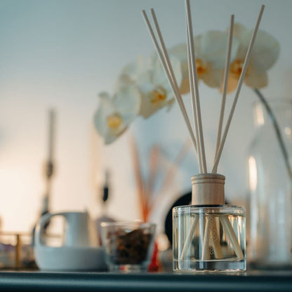 CandleXchange Coconut & Lime Reed Diffuser 200mL lifestyle detail