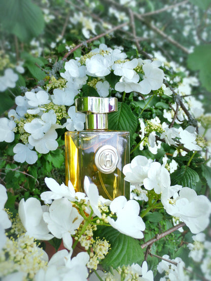Fred Hayman Touch Eau de Toilette styled floral image